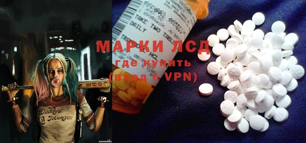 индика Алексин