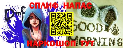 сатива Жуковский