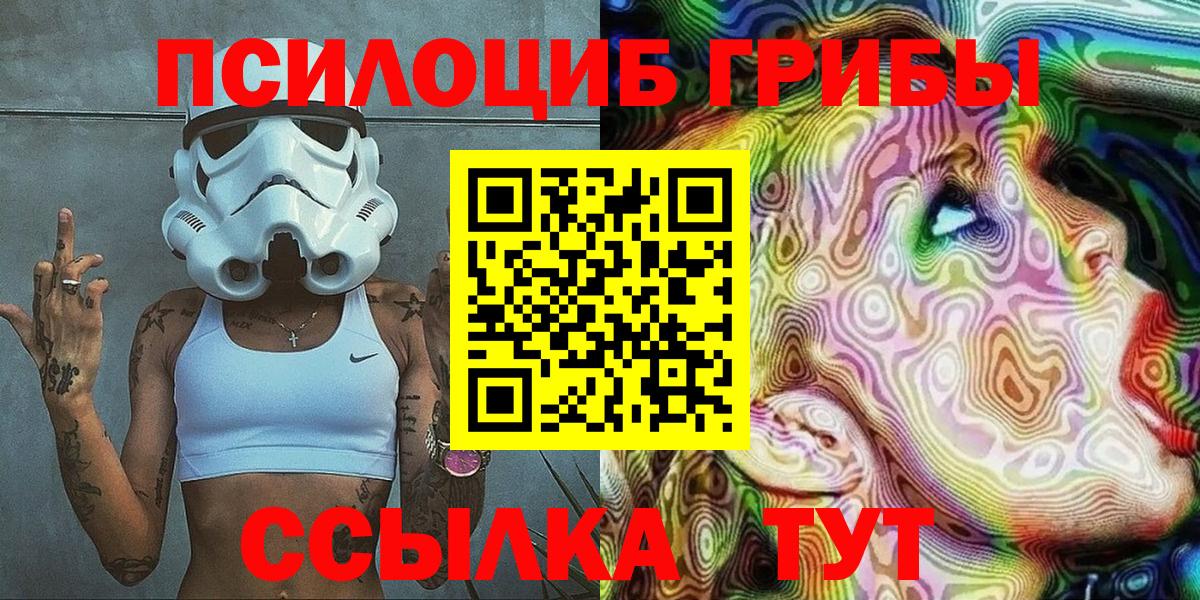 Псилоцибиновые грибы Psilocybe Миасс