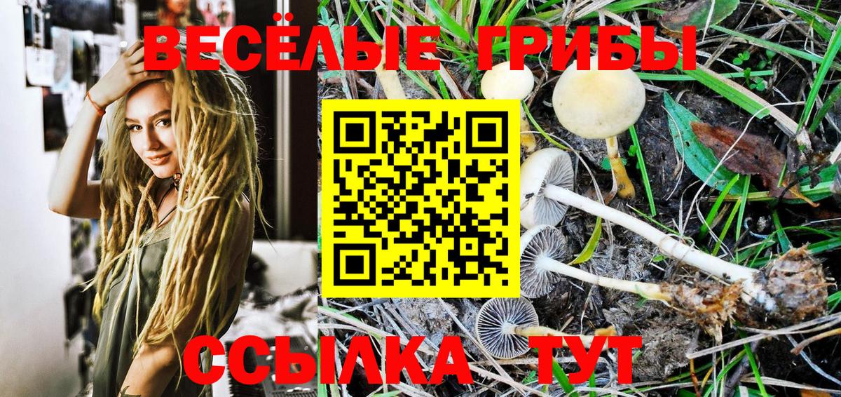 сколько стоит  Псилоцибиновые грибы Psilocybe  Вход с VPN  Миасс 